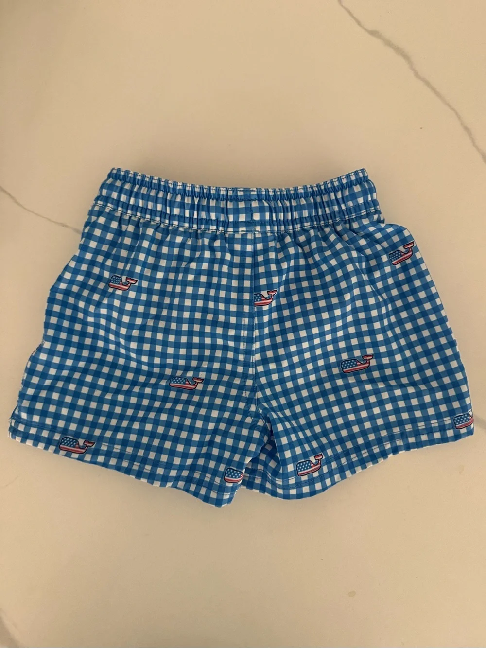 Vineyard Vines Kids Blue Gingham Swim